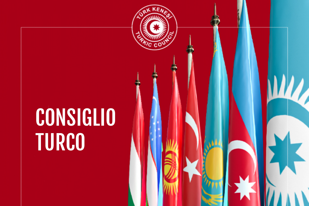 Dal Consiglio Turco all'Organizzazione degli stati Turchi: Opportunità e Prospettive