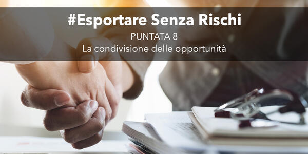 Esportare senza rischi - la condivisione delle opportunità (p.8)