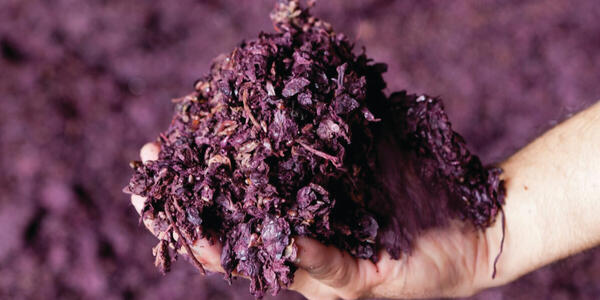 Wineleather, la prima pelle 100% vegetale ottenuta dal vino