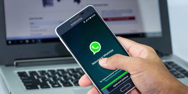 WhatsApp, ecco la versione for business