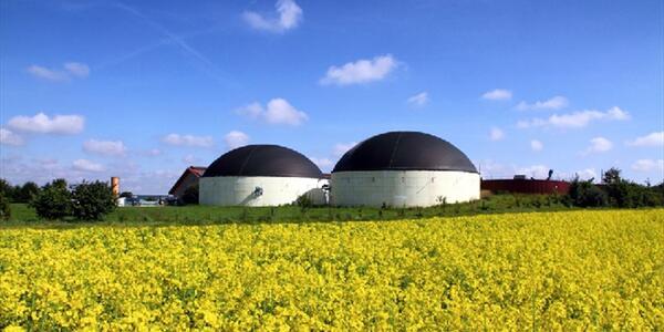 Green economy: il “biogas fatto bene” made in Italy è un modello da esportare
