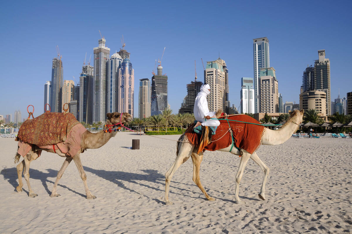 Emirati Arabi: Proprietà Straniera al 100% negli IDE
