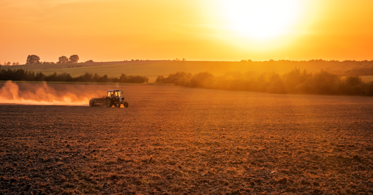 Africa: un Continente Promettente per l’Export di Macchinari Agricoli