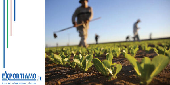 L'Europa spaventa l'Italia, settore agricolo a rischio?