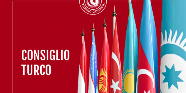 Dal Consiglio Turco all'Organizzazione degli stati Turchi: Opportunità e Prospettive