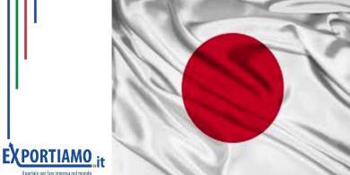 Recessione Giappone: cause ed effetti 