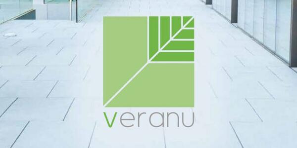 Veranu: la startup italiana che converte i passi in energia