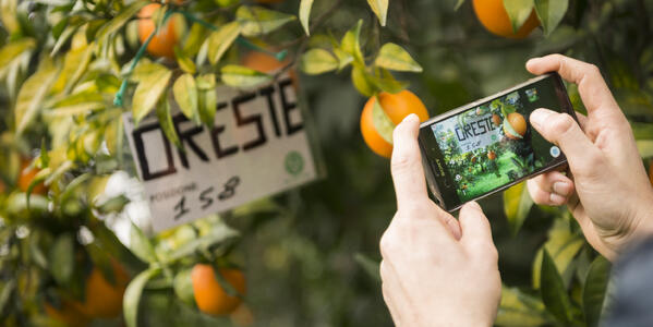 Biorfarm: il sogno di un’azienda agricola condivisa è realtà