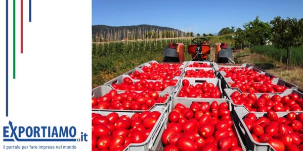 Il pomodoro italiano conquista le tavole del mondo